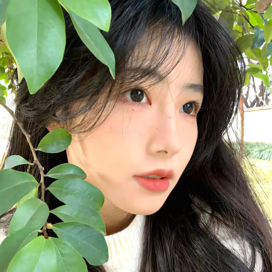 凤阁春残